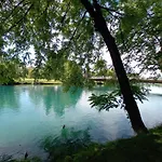 Orhideja Daire Bihać