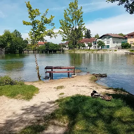 Orhideja Bihać