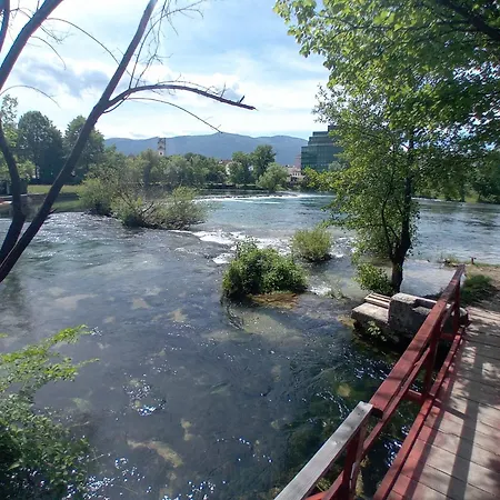 Orhideja * Bihać